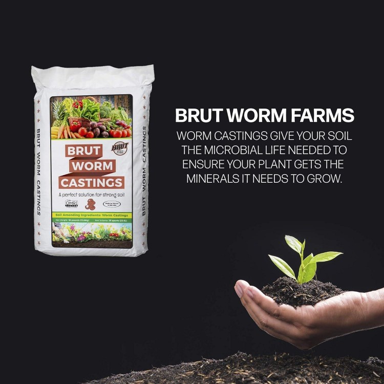 Organic Worm Castings – Garden's Elixir for Thriving Blooms & Harvests