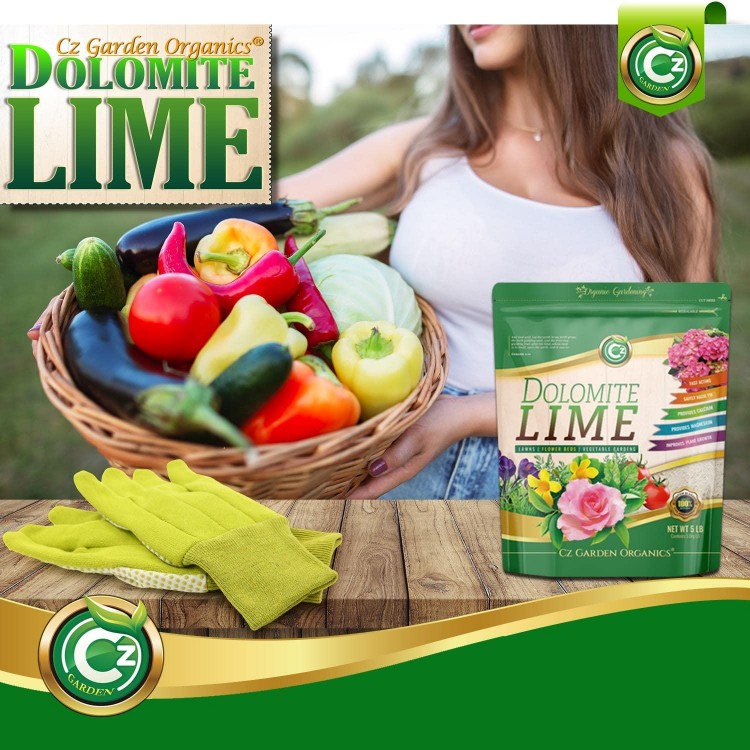 Dolomite Lime - Garden Soil Amendment Fertilizer for Plants