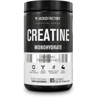Jacked Factory Creatine Monohydrate Powder 425g - Creatine Supplement for Muscle Growth