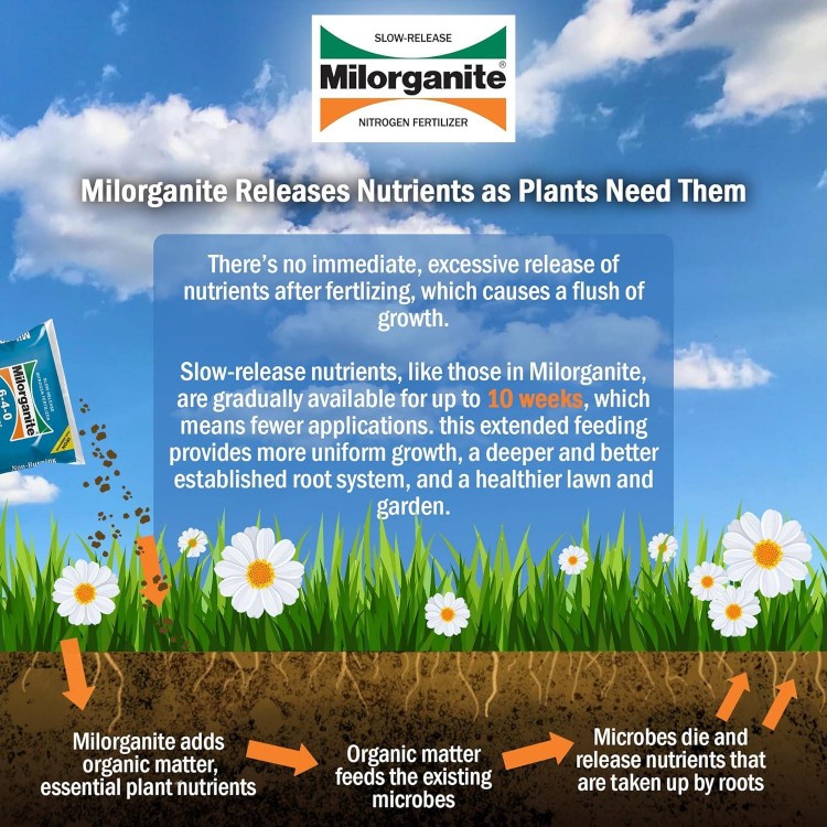 All-Purpose Eco-Friendly Salt-Free Nitrogen Fertilizer Plant Food