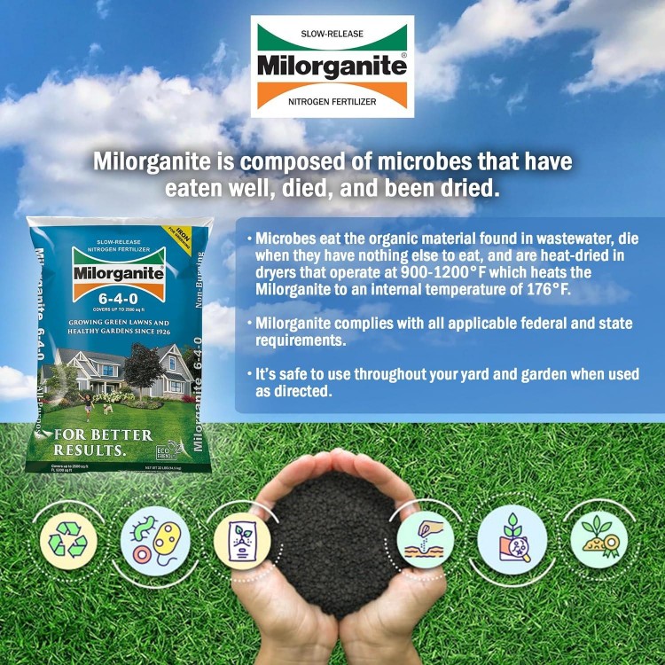 All-Purpose Eco-Friendly Salt-Free Nitrogen Fertilizer Plant Food