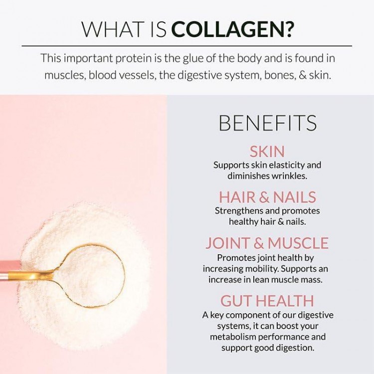 Alaya Multi Collagen Powder - Hydrolyzed Collagen Peptides Protein Powder Supplement