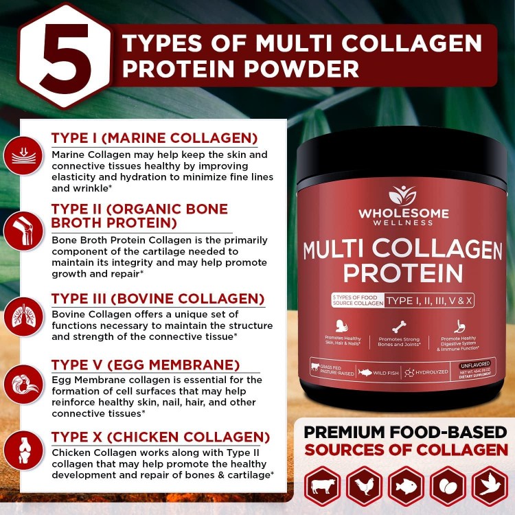 Multi Collagen Protein Powder Hydrolyzed (Type I II III V X) 