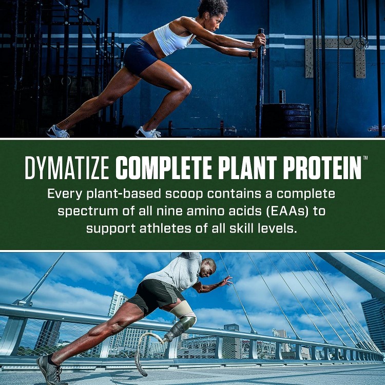 Vegan Plant Protein, Creamy Chocolate, 25g Protein, 4.8g BCAAs