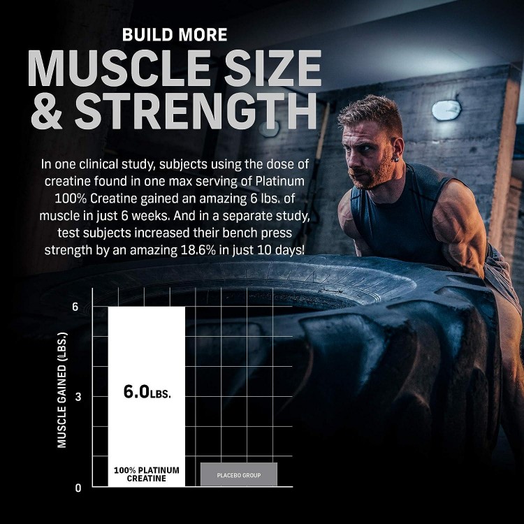 Creatine Monohydrate Powder | MuscleTech Platinum | Pure Micronized | Muscle Recovery