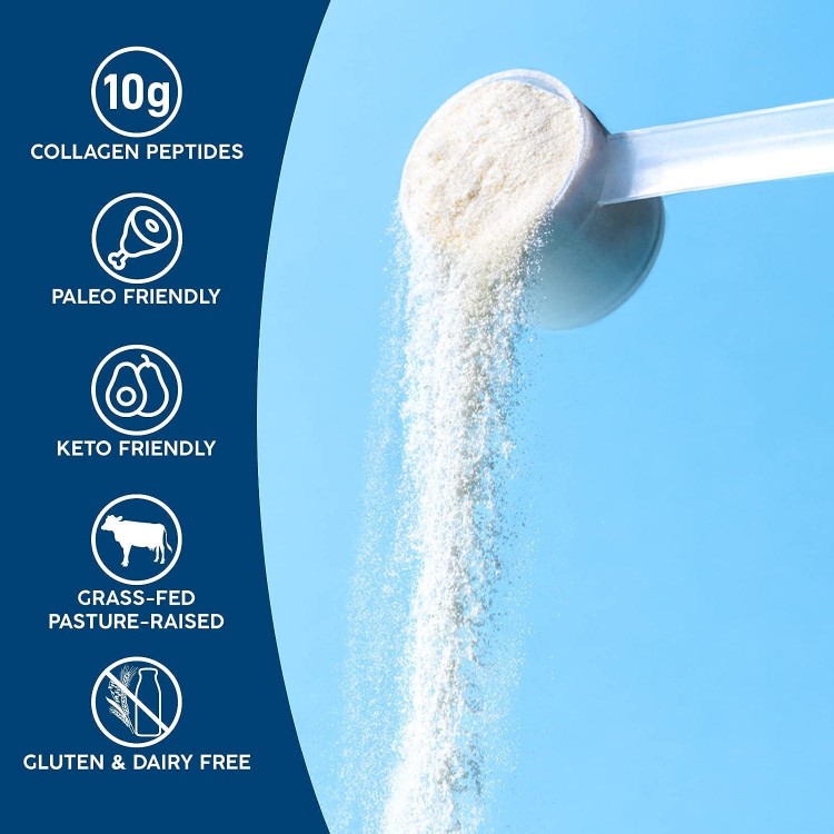 NativePath Collagen Peptides Protein - Hydrolyzed Type 1 & 3 Collagen Powder