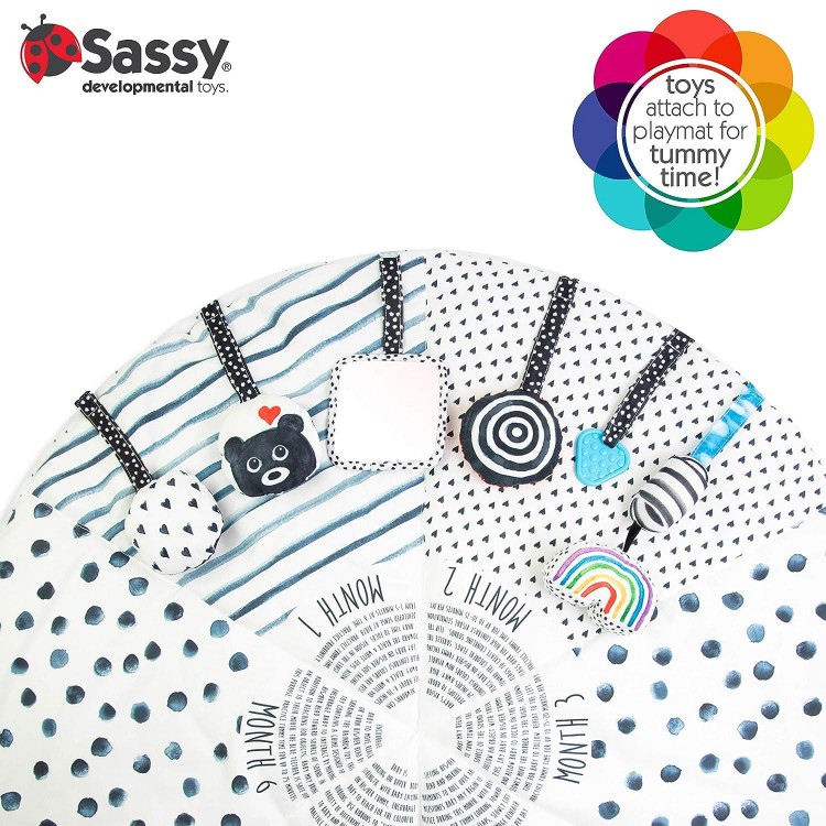 Sassy Stages STEM Developmental Play Gym,  Ultra Plush & Machine Washable Playmat