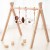 Foldable Play Gym 