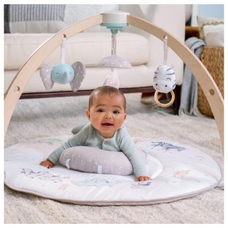 Aden + Anais Play And Discover Baby Activity Gym –  3 Attachable Toys-Plush Tummy Time Pillow