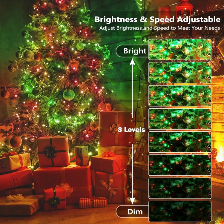 Brizled Color Changing Christmas Lights, Indoor Xmas Lights for Year-Round Holiday