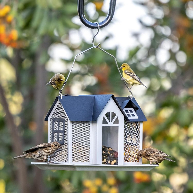Kingsyard Bird Feeder House for Outside, Large Capacity, Weatherproof and Durable