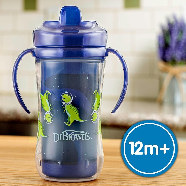 Dr. Brown's Milestones Hard Spout Insulated Sippy Cup with Handles