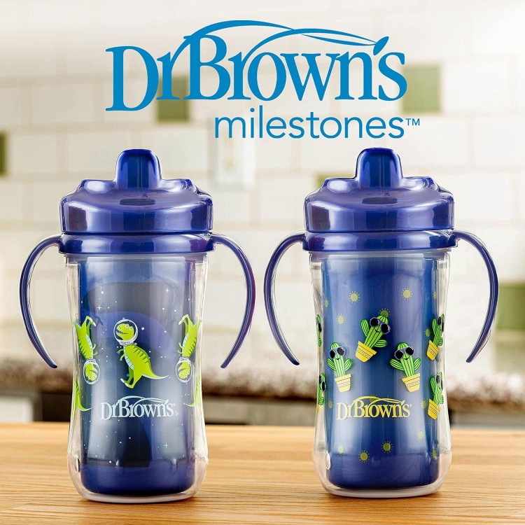 Dr. Brown's Milestones Hard Spout Insulated Sippy Cup with Handles