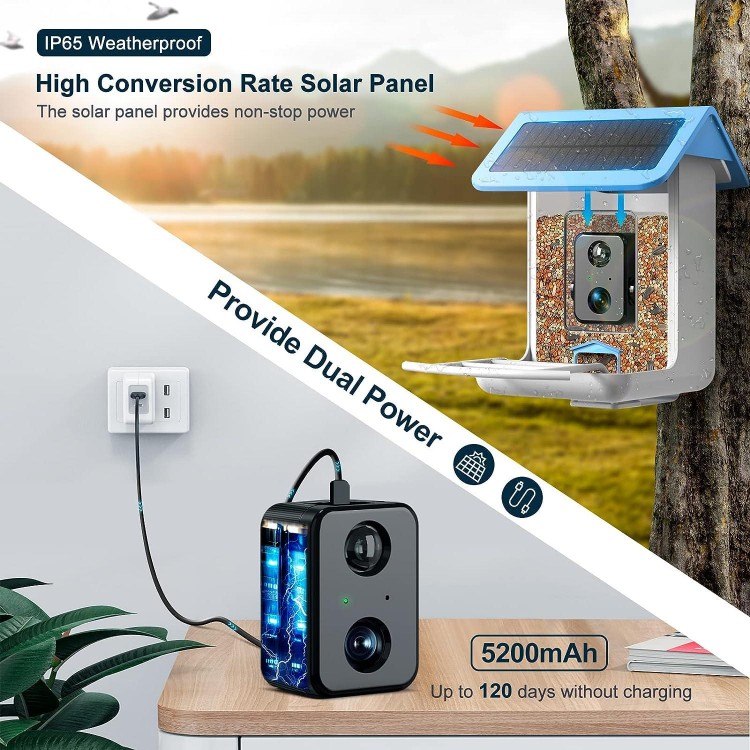 BROAIMX Smart Bird Feeder Camera, 1080P HD Camera Auto Capture Bird Videos & Solar Panel