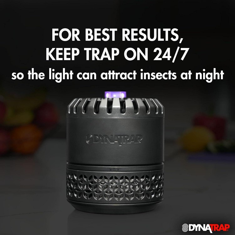 DynaTrap DT152 Indoor Insect Trap and Killer