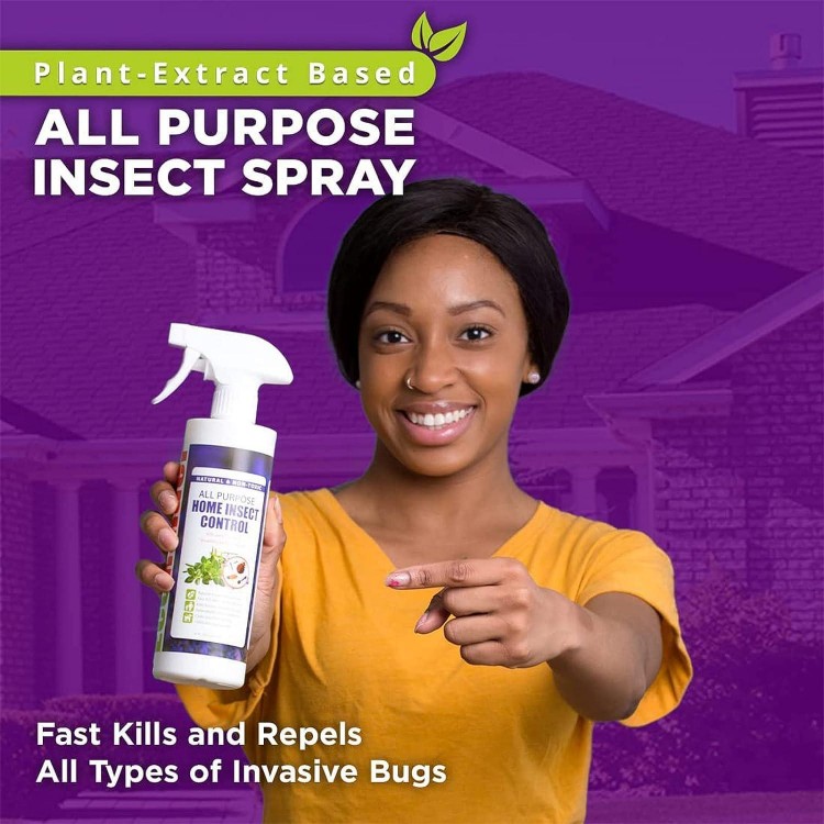 EcoVenger by EcoRaider All Purpose Insect Control ， Fast Kill, Lasting Prevention, Kill Eggs