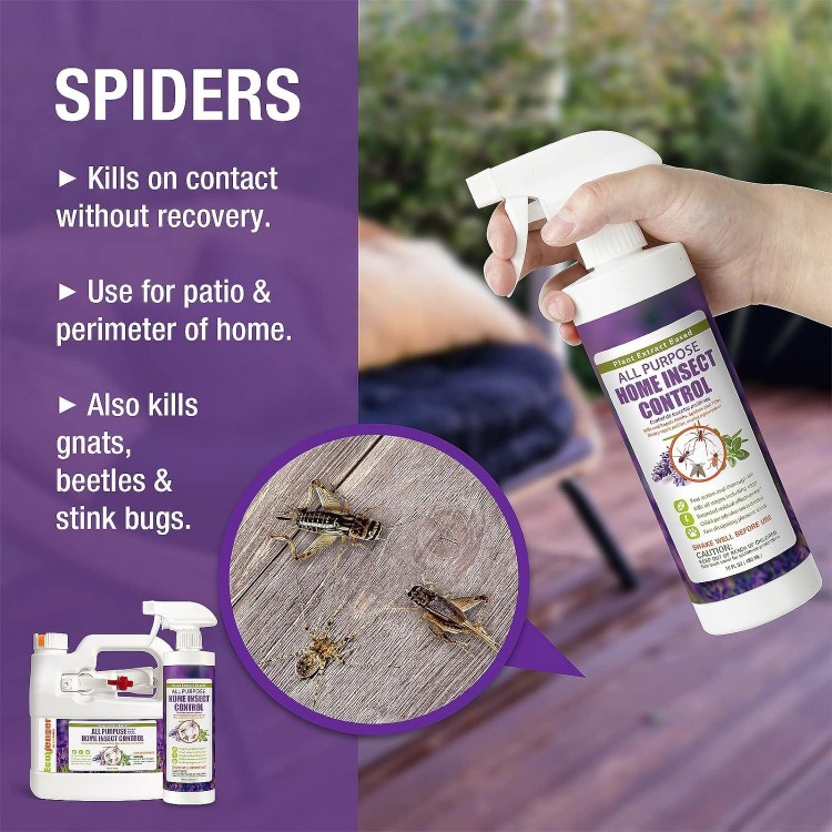 EcoVenger by EcoRaider All Purpose Insect Control ， Fast Kill, Lasting Prevention, Kill Eggs