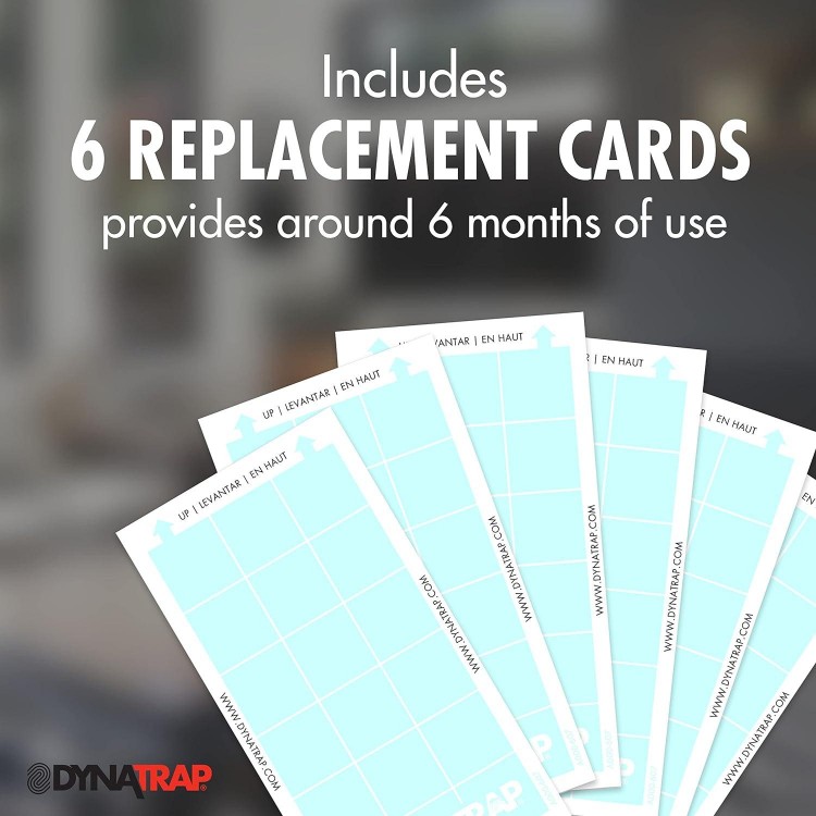 DynaTrap Replacement StickyTech Glue Cards for Flylight Indoor Plug-In