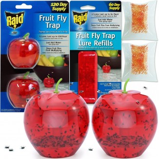 Raid Fruit Fly Traps-Effective Indoor Killer & Gnat Traps - Easy to Use Safe