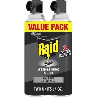 Raid Wasp & Hornet Killer Spray, Bug Killer Kills the Entire Nest For Insects