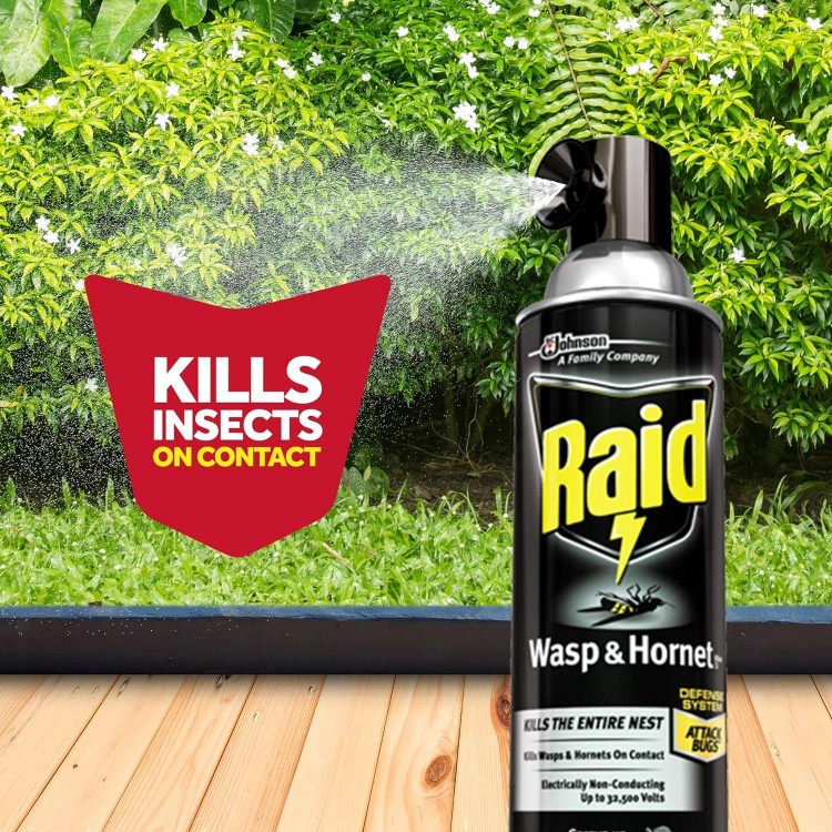 Raid Wasp & Hornet Killer Spray, Bug Killer Kills the Entire Nest For Insects