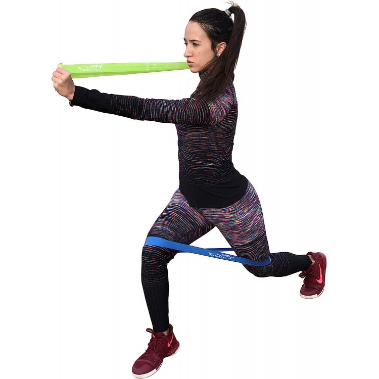 Fit Simplify Resistance Loop Exercise Bands with Instruction Guide and Carry Bag