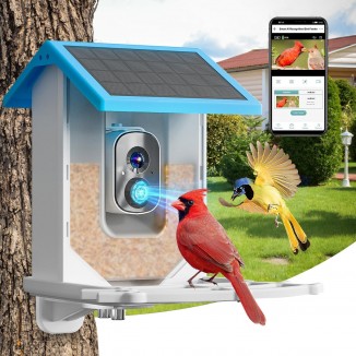 Smart Bird Feeder with Solar Powered Camera, 1080P HD Auto Capture Bird Videos