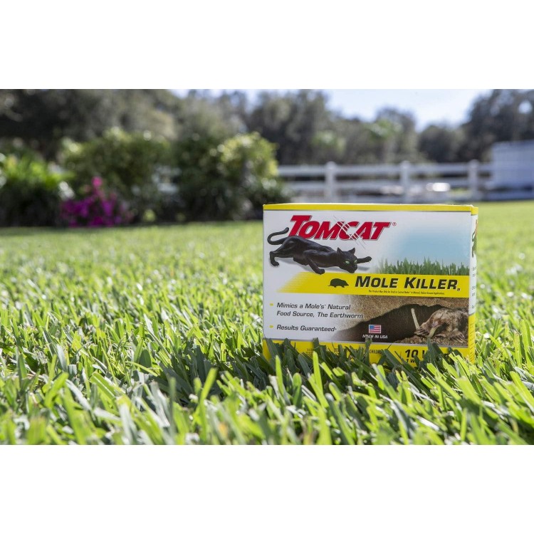 Tomcat Mole Killer, Poison Kills in a Single Feeding, 10 Worms For Rodents