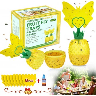 Fruit Fly Trap for Indoors,Non-Toxic Reusable Fly Catcher Gnats Killer Comes
