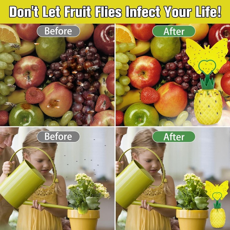Fruit Fly Trap for Indoors,Non-Toxic Reusable Fly Catcher Gnats Killer Comes