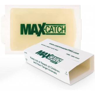 Pest Glue Trap by Catchmaster - 36 Boards Pre-Baited, Ready to Use Indoors