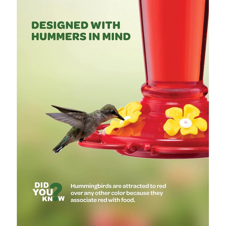 Hummingbird Feeder 10 oz Feeders for Outdoors, with Built-in Ant Guard - Circular Perch