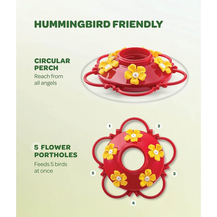 Hummingbird Feeder 10 oz Feeders for Outdoors, with Built-in Ant Guard - Circular Perch