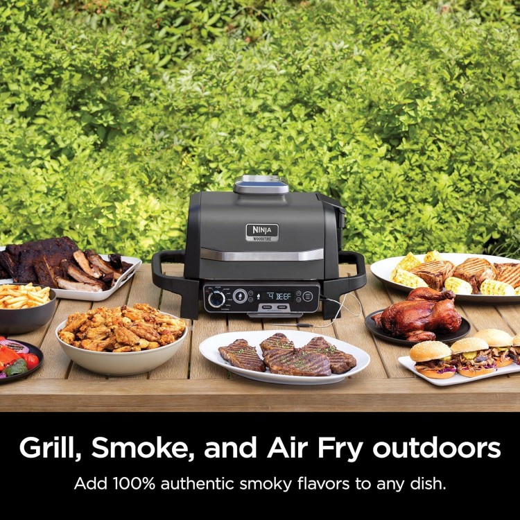 Ninja OG751BRN Woodfire Pro Outdoor Grill & Smoker with Built-In Thermometer, 7-in-1