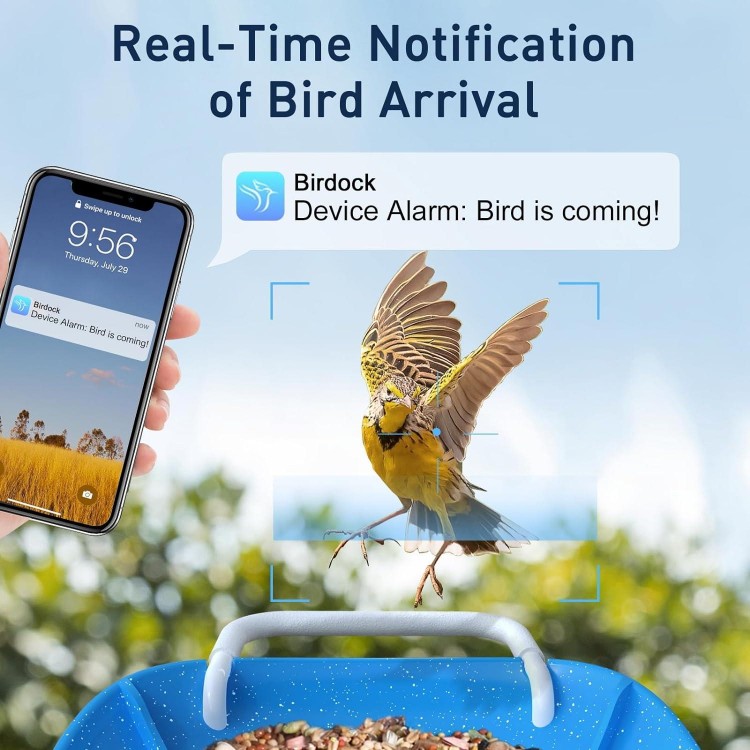 BirdDock Smart Bird Feeder with Camera, HD Visual Storage Feeders, Night Video Camera