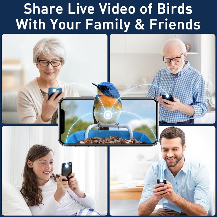 BirdDock Smart Bird Feeder with Camera, HD Visual Storage Feeders, Night Video Camera