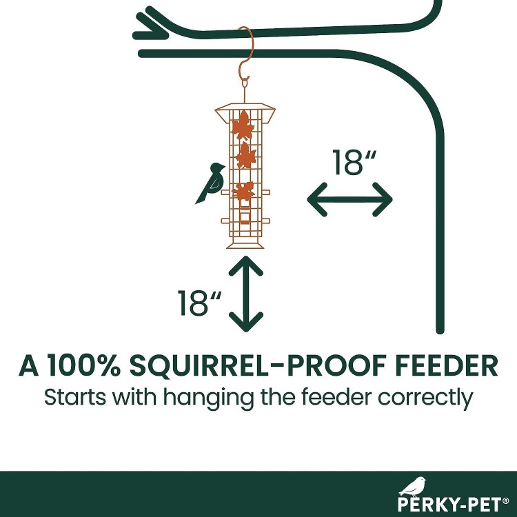 Perky-Pet 336-1SR Squirrel-Be-Gone Bird Feeder with Weight-Activated Perches