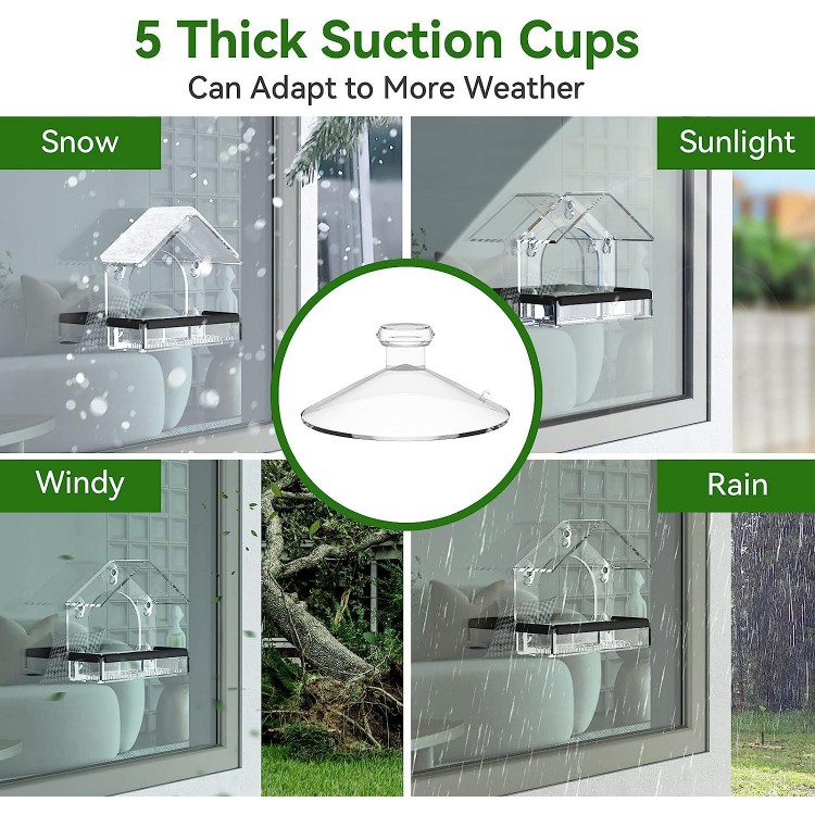 Transparent Window Bird Feeder With 5 Extra Strong Suction Cups, Drainage Holes