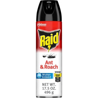 Ant & Roach Aerosol Bug Spray, Water-Based Formula Insecticide With No Greasy Residue