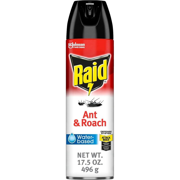 Ant & Roach Aerosol Bug Spray, Water-Based Formula Insecticide With No Greasy Residue