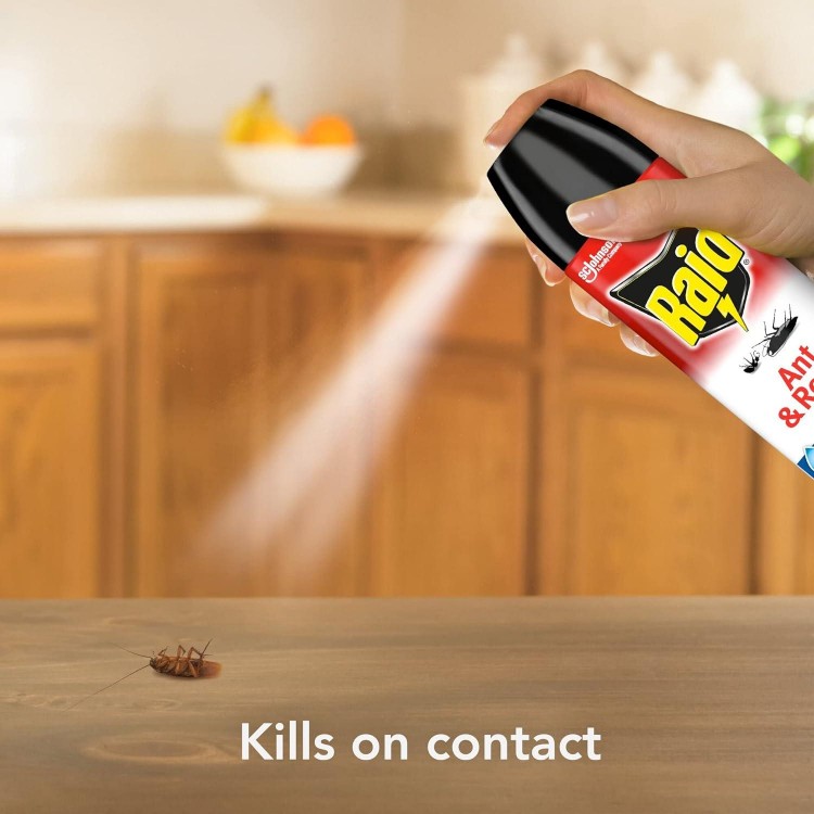 Ant & Roach Aerosol Bug Spray, Water-Based Formula Insecticide With No Greasy Residue