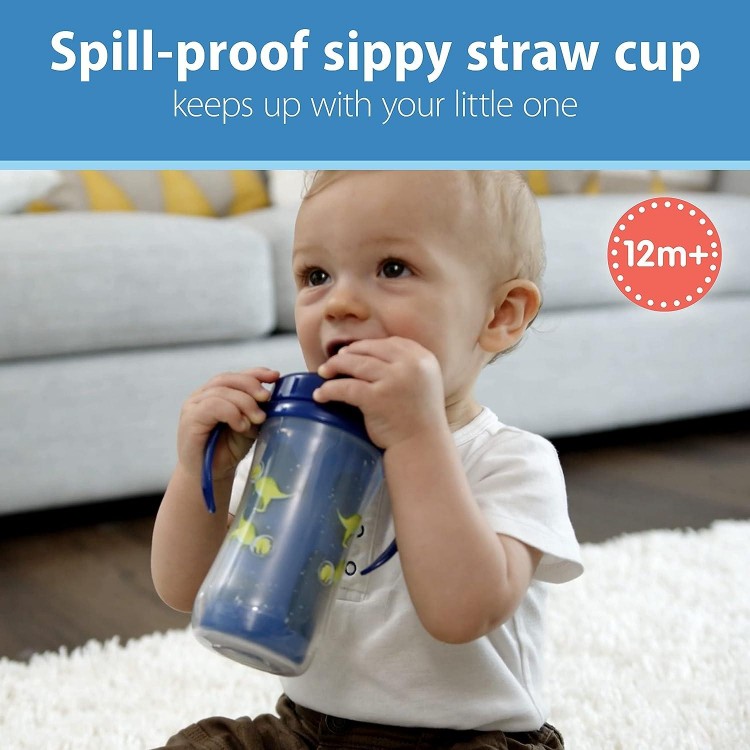 Dr. Brown's Milestones Insulated Sippy Cup with Straw and Handles-10oz
