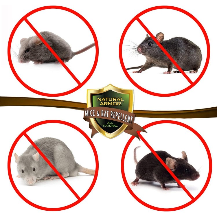 Mice & Rat Repellent. Peppermint Repellent for Mice/Mouse, Rats & Rodents