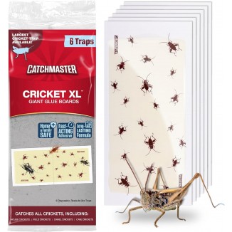 Catchmaster Cricket XL Giant Glue Boards, Cricket Traps Indoor with Adhesive