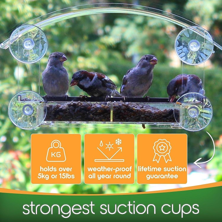 Clear Window Bird Feeder with Strong Suction Cups for Viewing Squirrel Proof