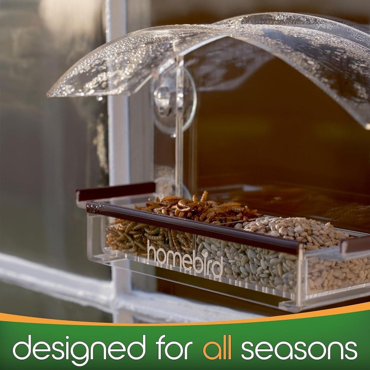 Clear Window Bird Feeder with Strong Suction Cups for Viewing Squirrel Proof