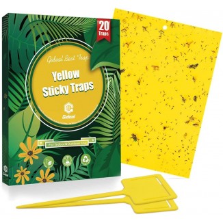 Gideal Dual-Sided Yellow Sticky Traps for Flying Plant Insect as Fungus Gnats