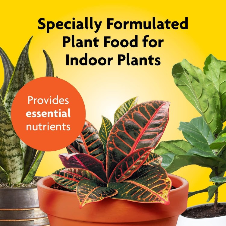 Miracle-Gro Indoor Plant Food, Liquid Fertilizer