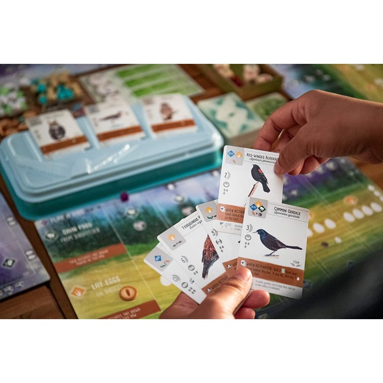 A Relaxing, Award-Winning Strategy Board Game About Birds for Adults