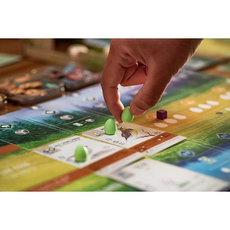 A Relaxing, Award-Winning Strategy Board Game About Birds for Adults